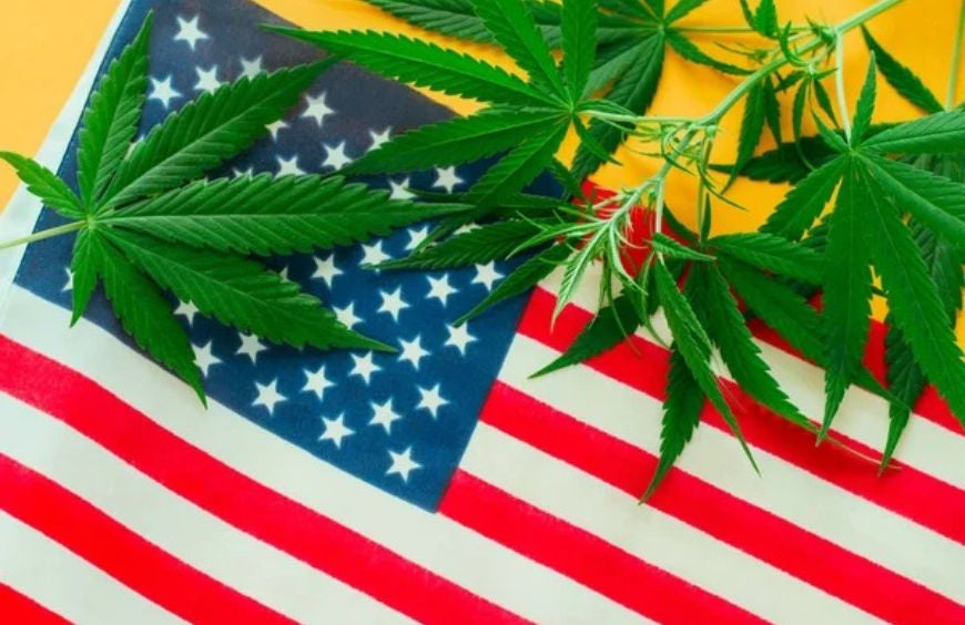 Amerikaner finden Cannabis weniger gefährlich als Tabak, Alkohol und Opioide
