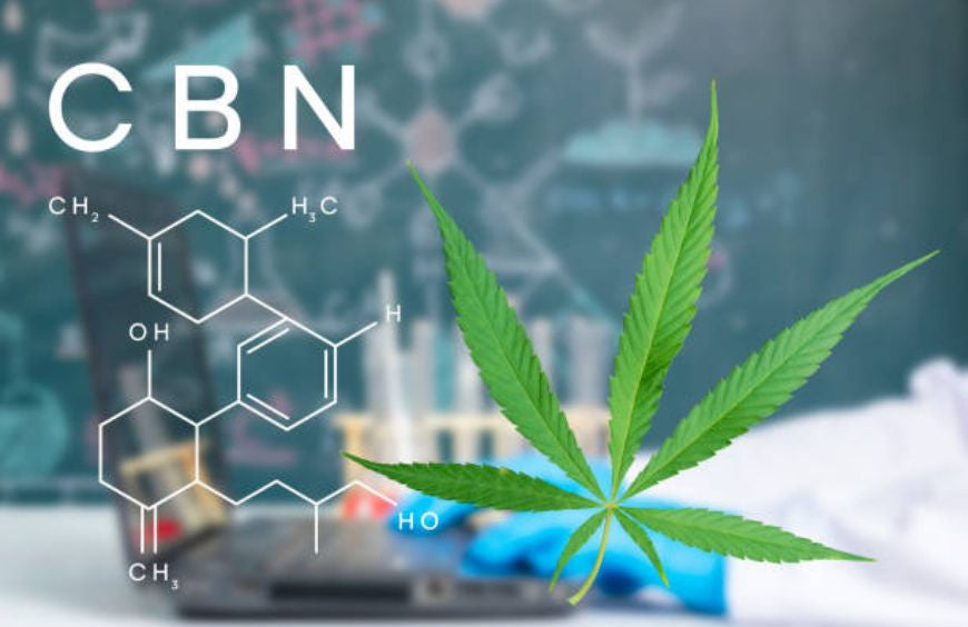Anfänger: Wie beginne ich mit CBN?