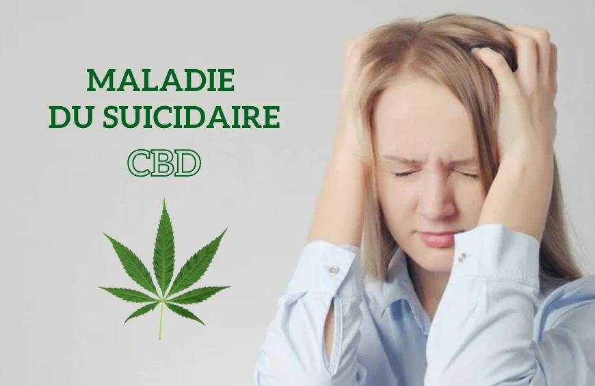 Suizidkrankheit: Könnte CBD die Schmerzen lindern?