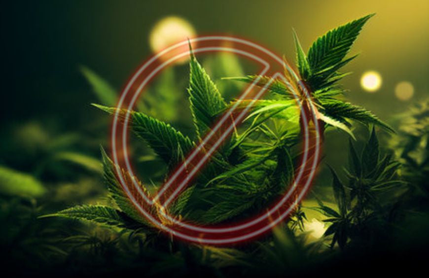 Welches CBD ist verboten?