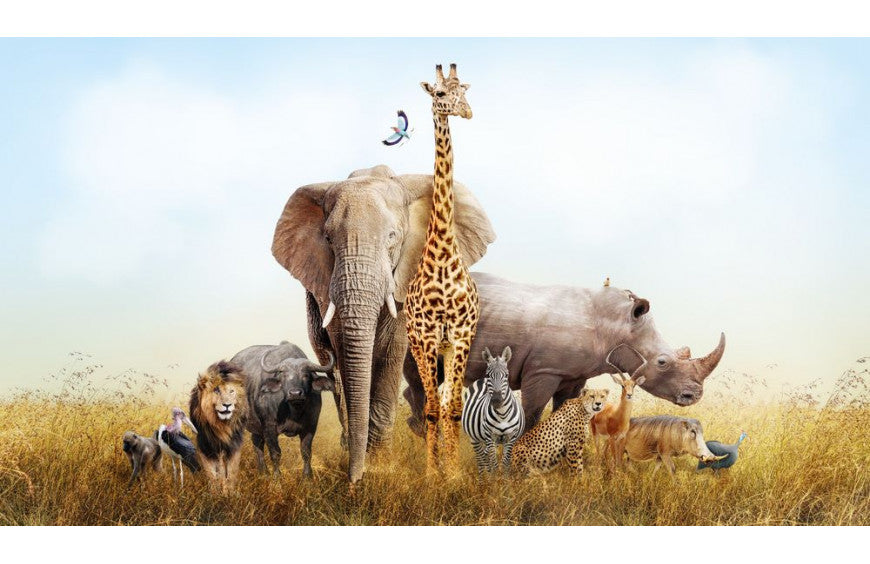 Tierpark verwendet CBD!