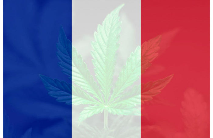 Medizinisches Cannabis in Österreich produziert