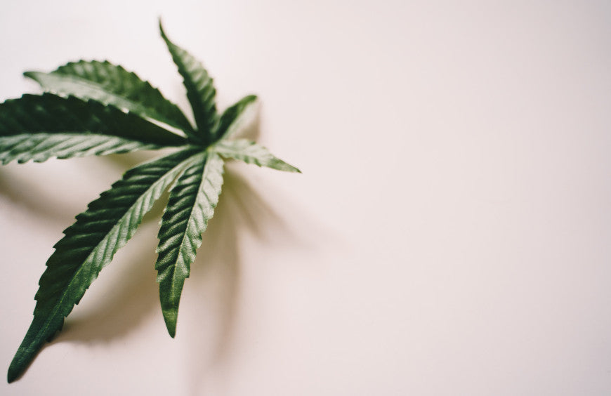 Ein Tag mit CBD