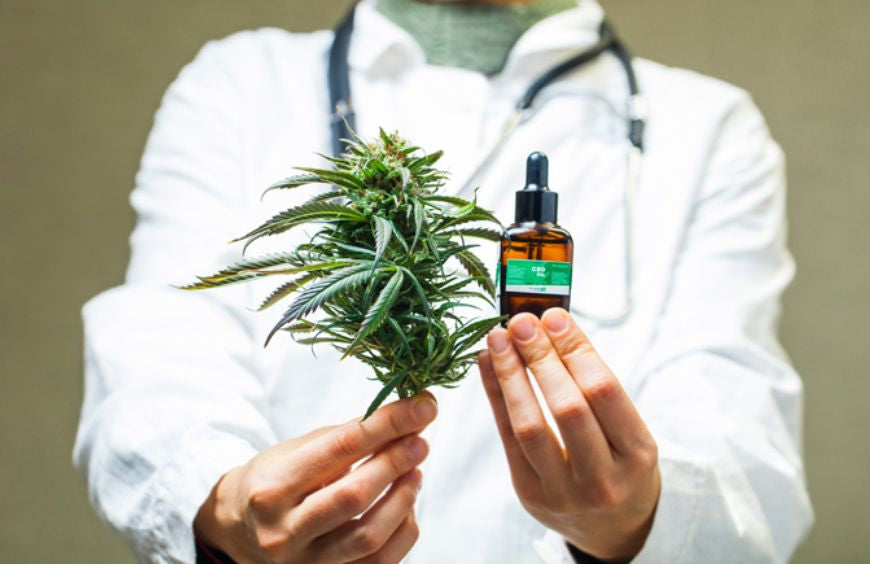 Wie wäre es mit einem Überblick über die neuen Studien rund um Cannabis?