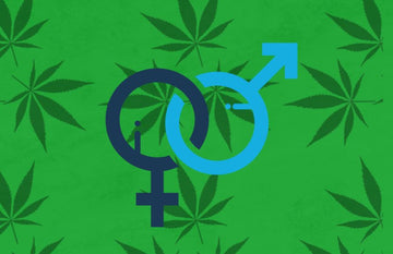 Wie wirkt sich CBD auf Männer und Frauen unterschiedlich aus?