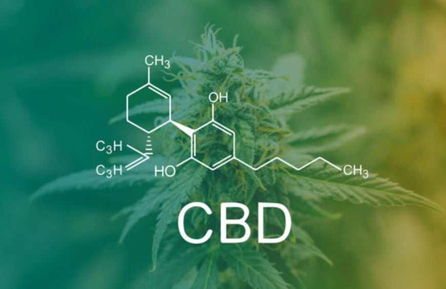 All diese Fragen, die Sie sich stellen, bevor Sie CBD einnehmen
