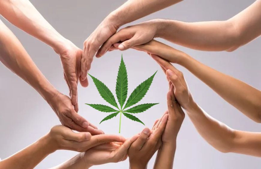 CBD: Alles über den Entourage-Effekt