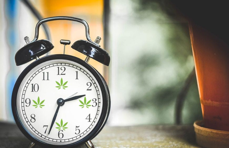 Wann ist der beste Zeitpunkt für die Einnahme von CBD?