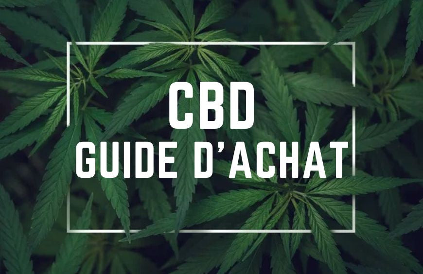 Kauf von Cannabidiol: Wohin soll man gehen?