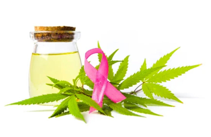 Kann die Einnahme von CBD bei Krebs helfen?