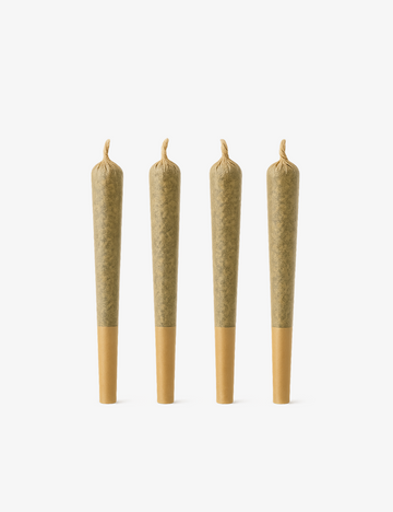 Entdeckungspaket Pre-Rolls CBD