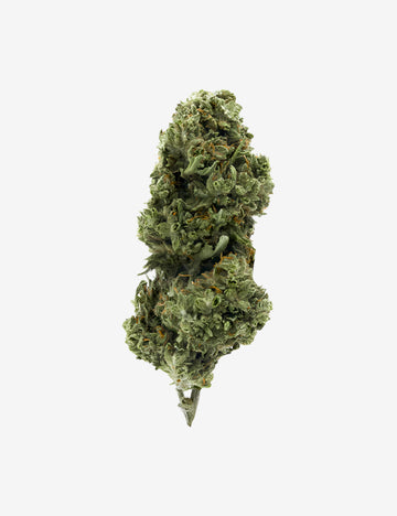 CBD-Biscotti