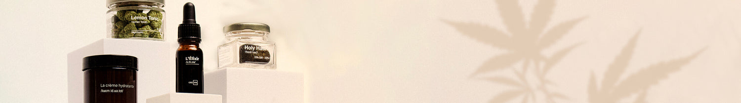 sammlung-banner-bild