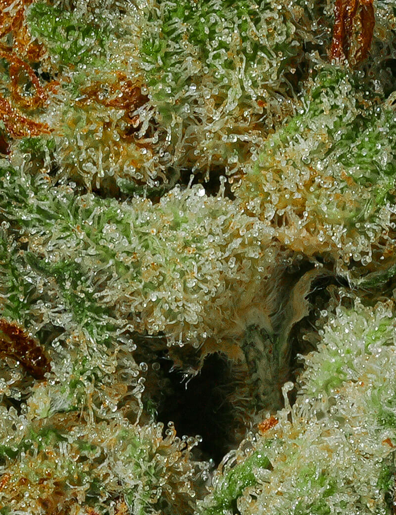 Gorilla Glue CBD