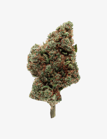 Jamaikanische Haze CBD