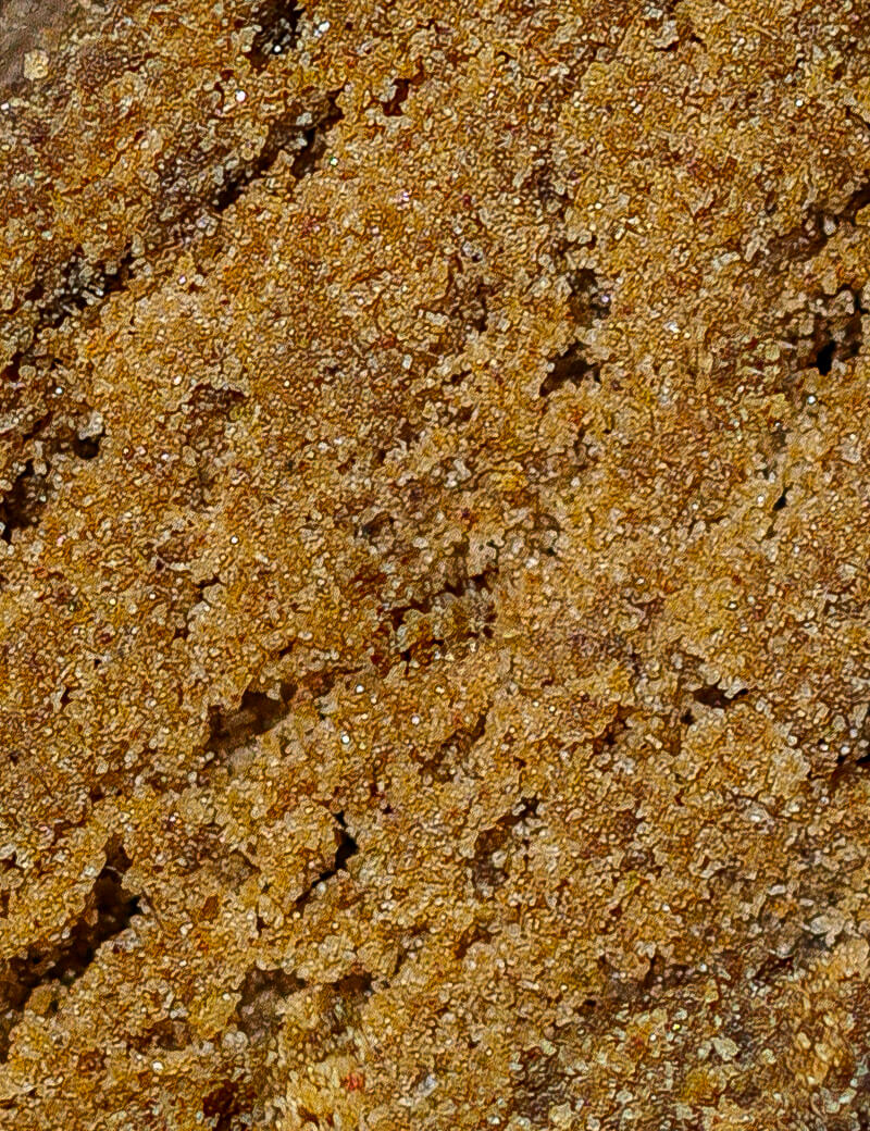 Statische CBD