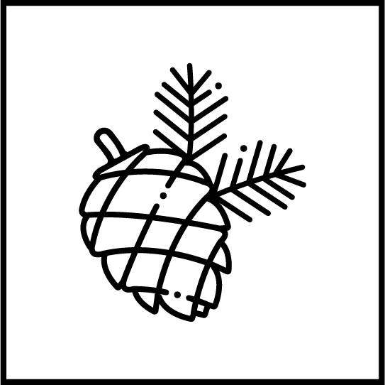 Namensschild