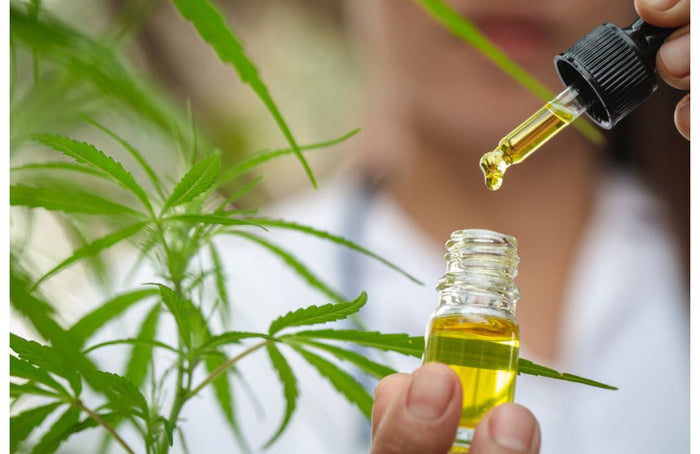 CBD: Wie verwende und dosiere ich mein CBD?