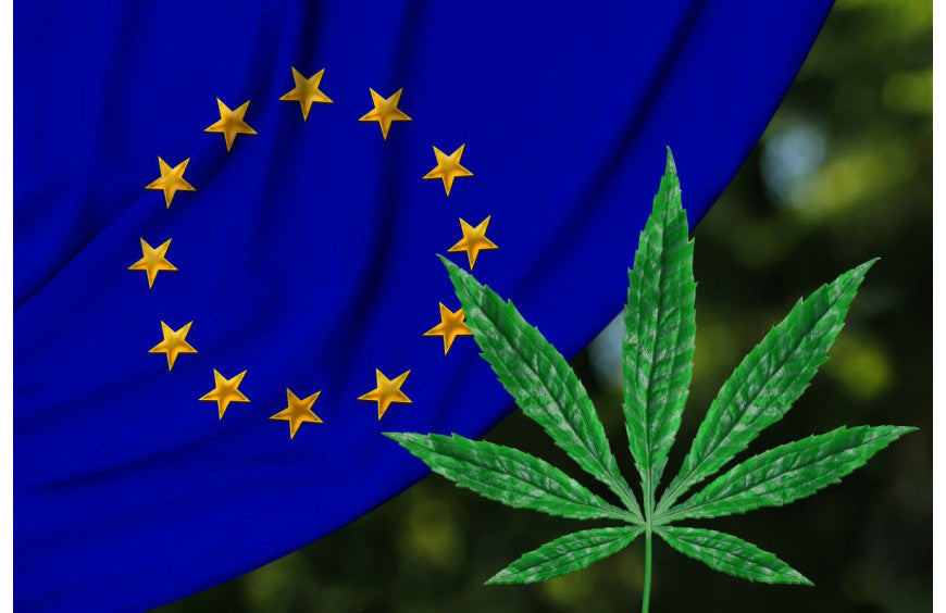 Hanfproduktion in Europa: Frankreich immer noch die Nummer 1!