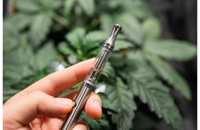 Die Vorteile von CBD-E-Liquids