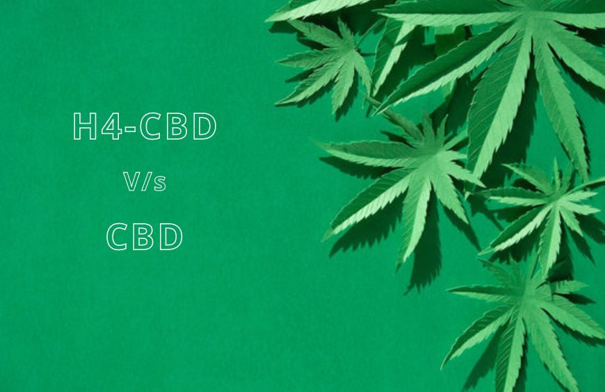 H4CBD und CBD: Was soll man wählen?