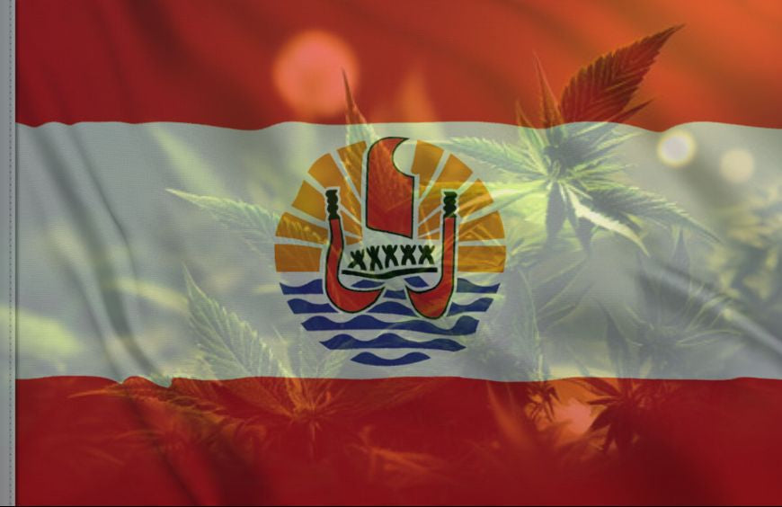 Was wäre, wenn Polynesien den Weg für Frankreichs Legalisierung von Cannabis ebnen würde?