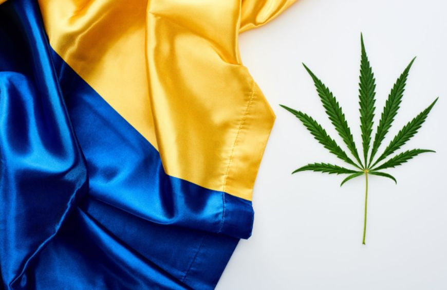 Ukrainischer Präsident befürwortet medizinisches Cannabis