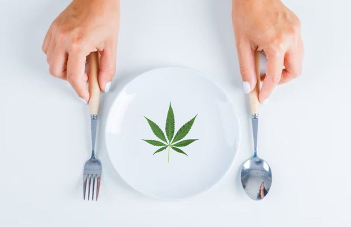 Sollte man CBD auf nüchternen Magen einnehmen?