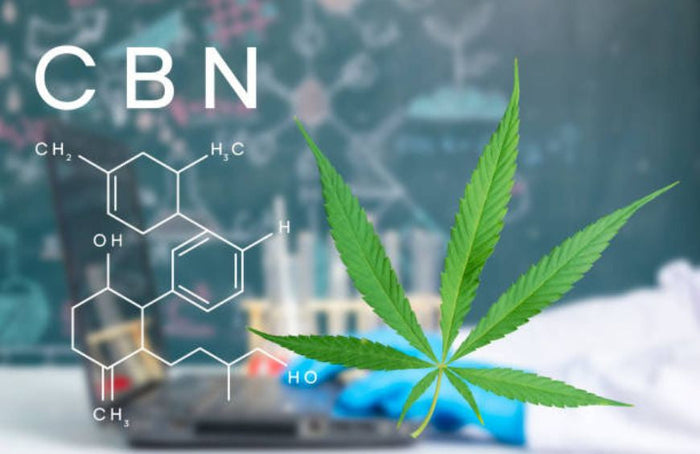 Anfänger: Wie beginne ich mit CBN?