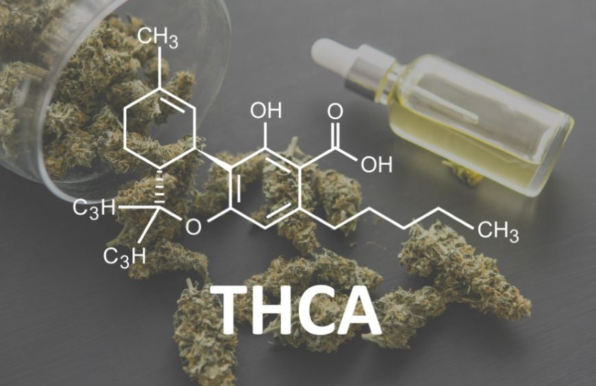 Was ist THCA?