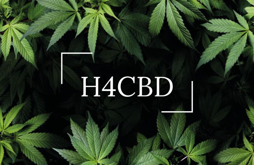 H4CBD: Was sind die Vorteile dieses neuen Cannabinoids?