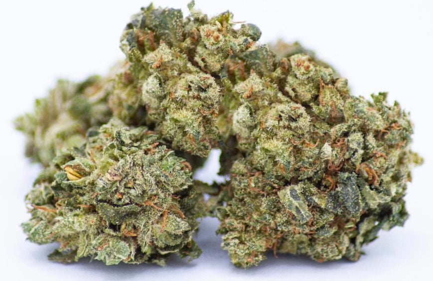 Warum schwankt der Preis von CBD-Blüten so stark?