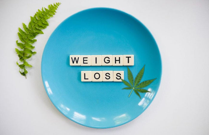 Warum soll CBD beim natürlichen Abnehmen helfen?