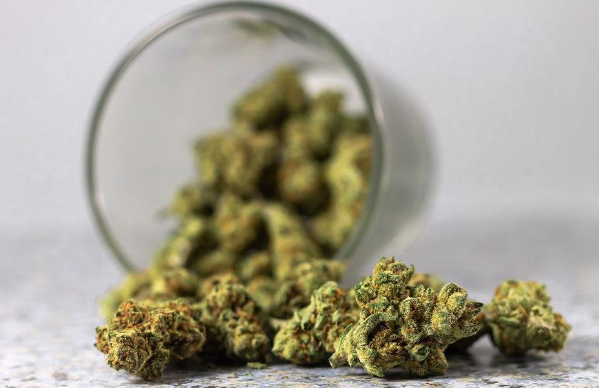 Alles, was Sie über THCP wissen müssen