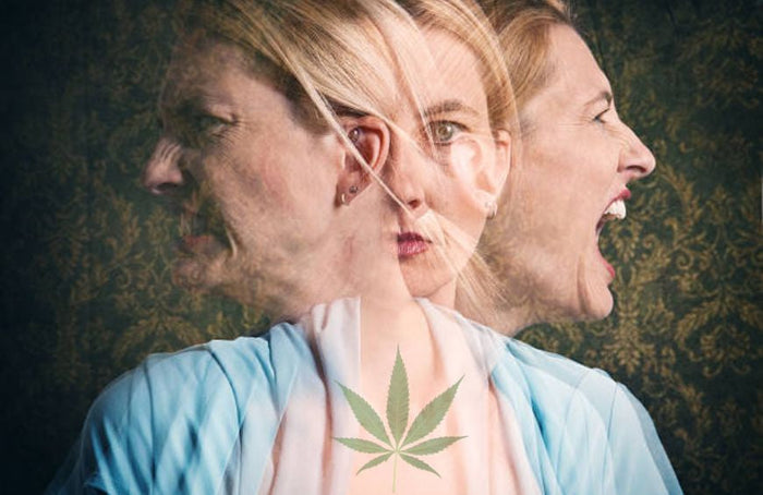 Stimmungsschwankungen: Warum könnte CBD eine Lösung sein?