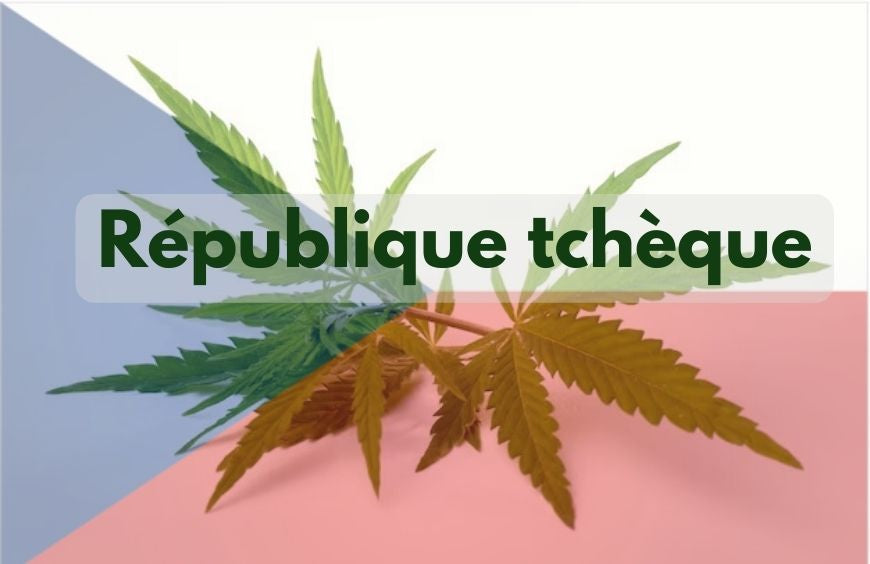 Tschechische Republik schreitet zur Legalisierung von Cannabis voran