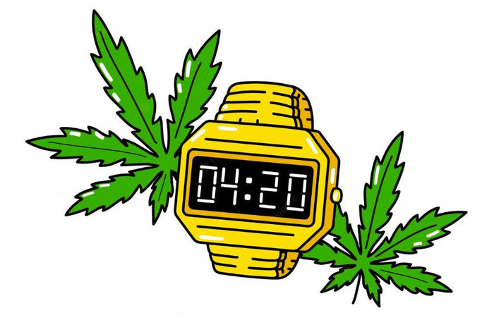 (Re)Entdecken Sie die Geschichte von 420