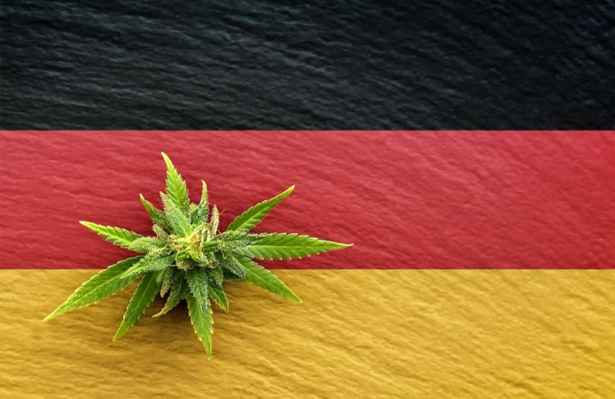 Deutschland überarbeitet seine Erwartungen an die Legalisierung von Cannabis
