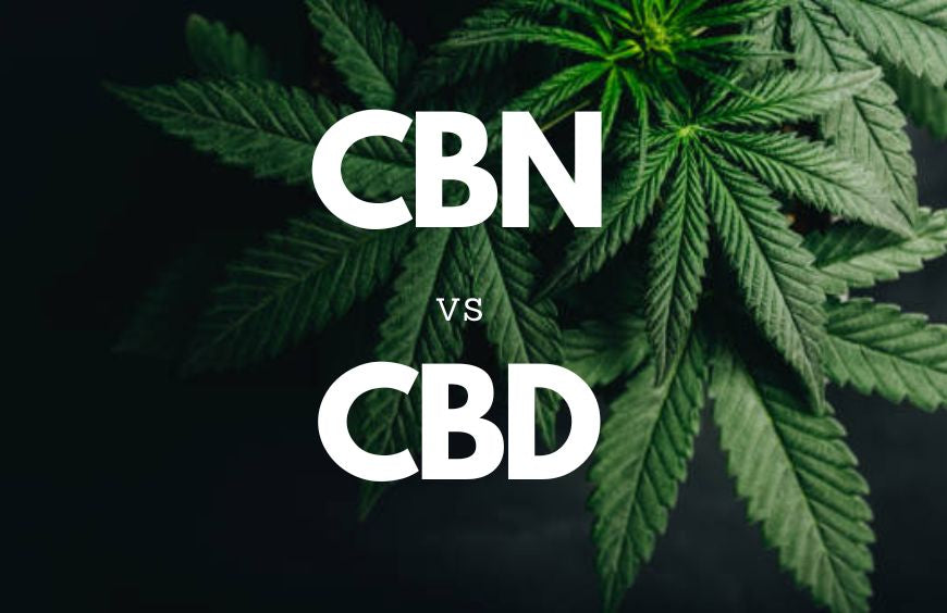 CBN vs. CBD: Alles, was Sie wissen müssen