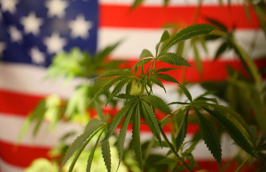 FDA, Kongress, CBD... Was ist los in den USA?