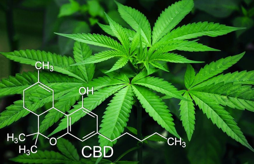 Ist CBD eine Droge?