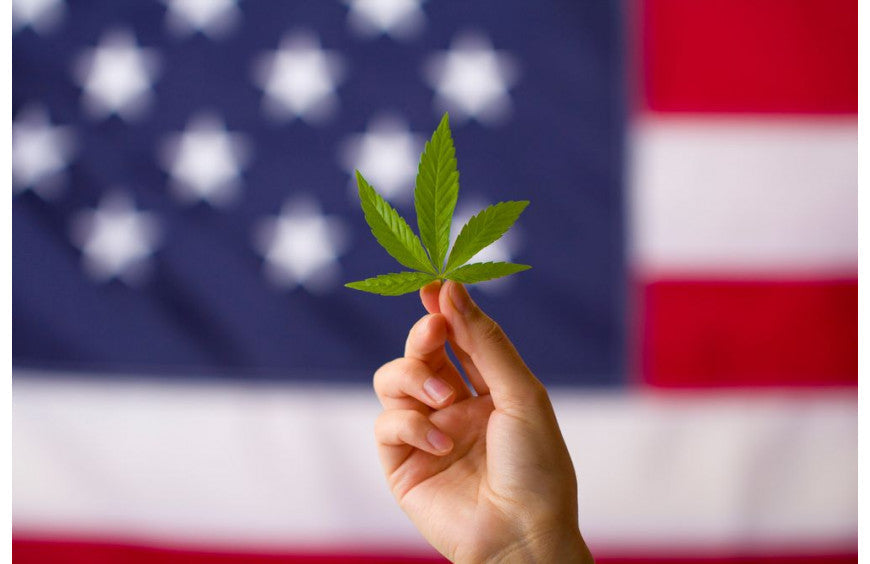 USA: THC-Gehalt von Hanf in Minnesota auf 1% erhöht