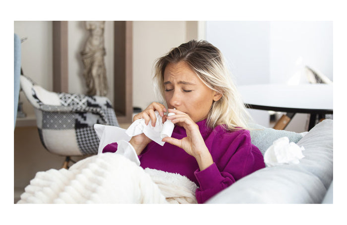 CBD und Allergien: eine echte antihistaminische Wirkung?