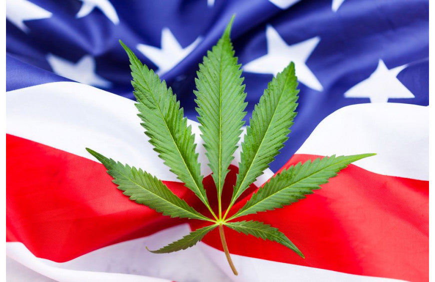 2/3 der US-Ärzte befürworten medizinisches Cannabis