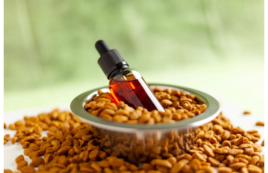 CBD-Öl für Tiere: Wirkung und Dosierung