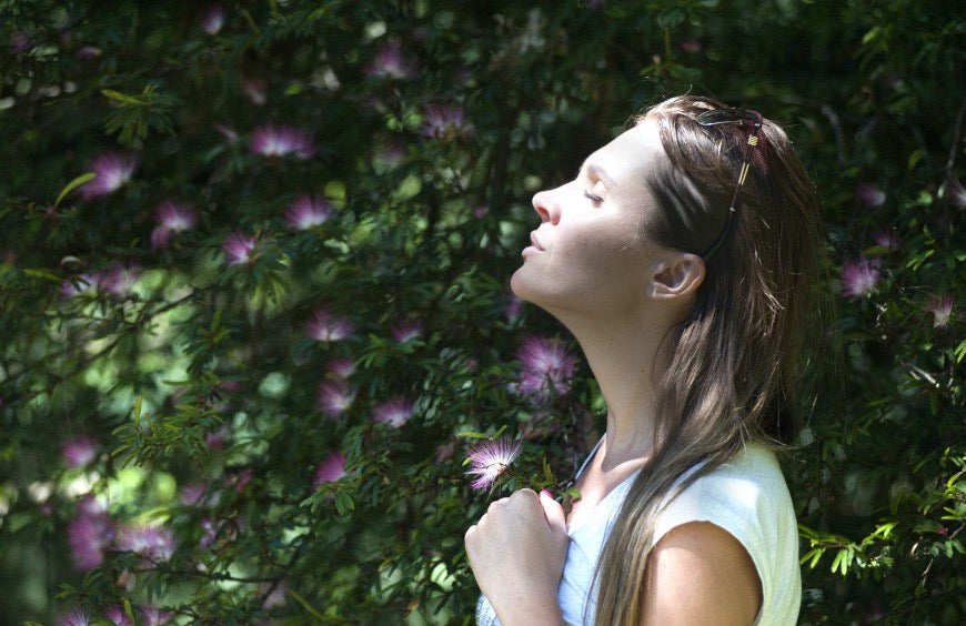 CBD: Ihr ultimativer Wellness-Verbündeter