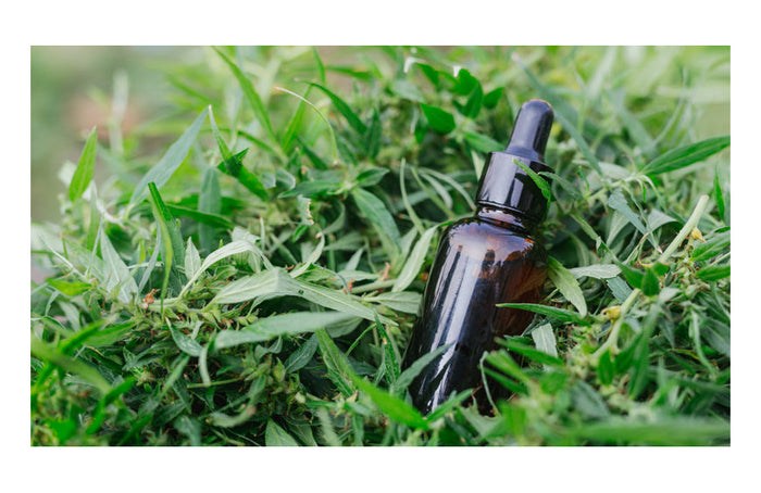 CBD-Öl, Definition und Ausmaß der Wirkung