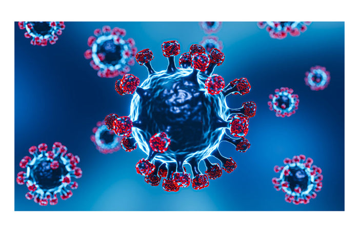 CBD und COVID: Das Wundermittel gegen Entzündungen und Ängste?