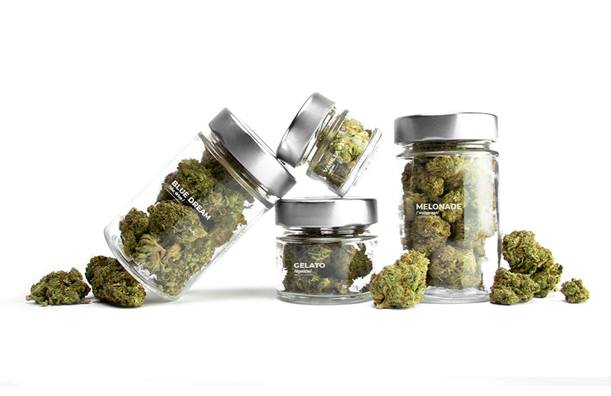 TOP 6 der meistverkauften CBD-Blumensorten des Jahres