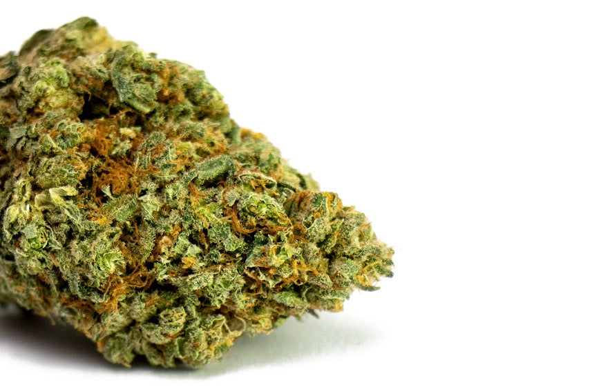 Woher kommt der für Cannabis typische Skunk-Geruch?